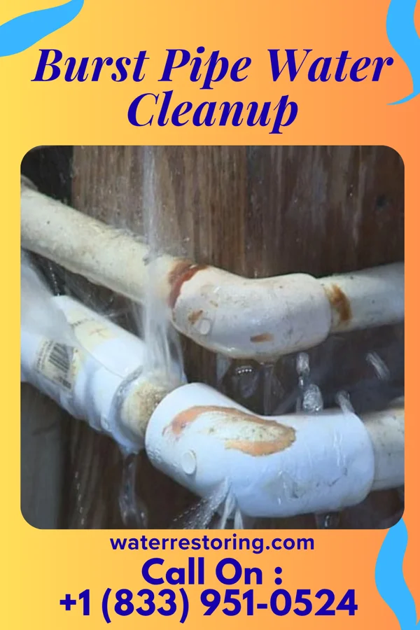 Burst Pipe Water Cleanup in McKee, PA