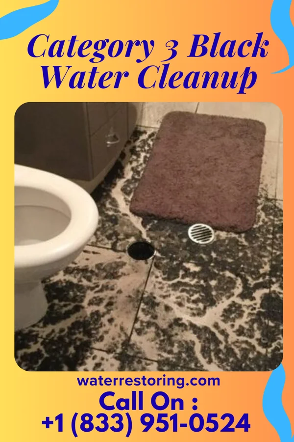 Category 3 Black Water Cleanup in McKee, PA