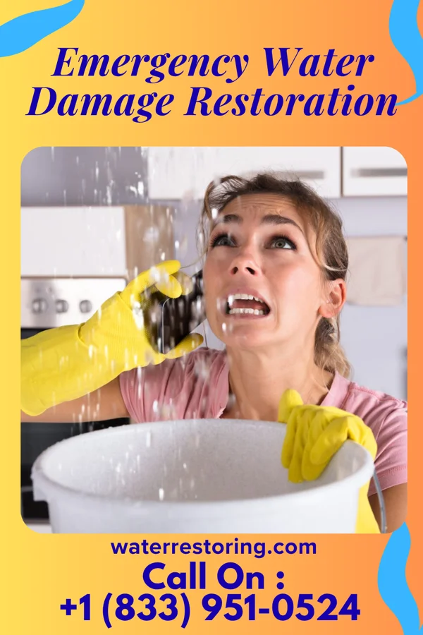 Emergency Water Damage Restoration in McKee, PA