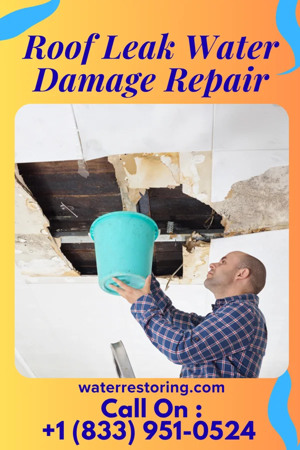 Roof Leak Water Damage Repair in McKee, PA
