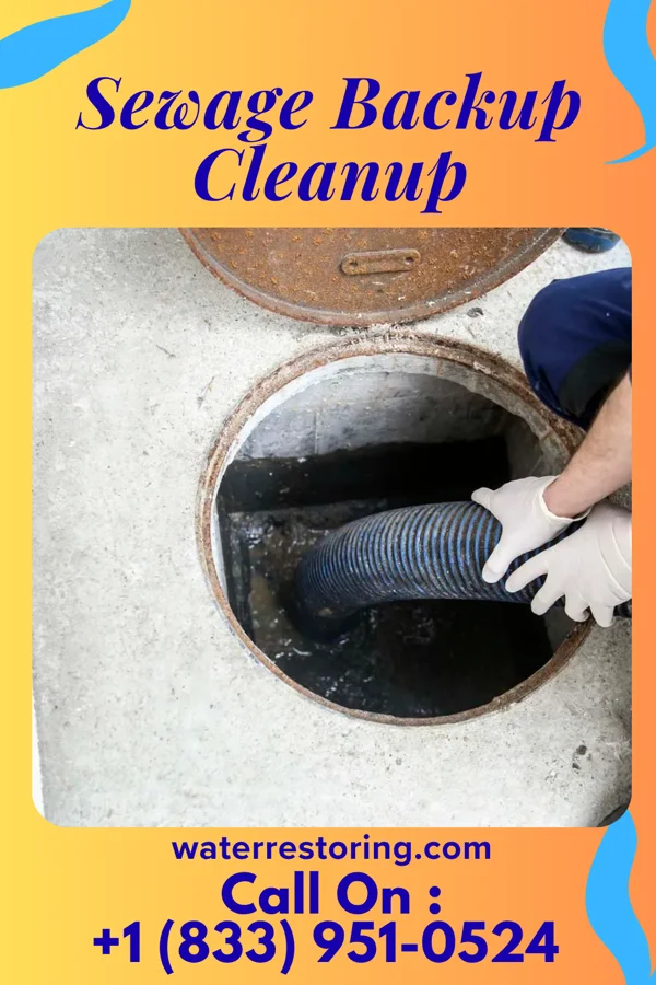 Sewage Backup Cleanup in McKee, PA