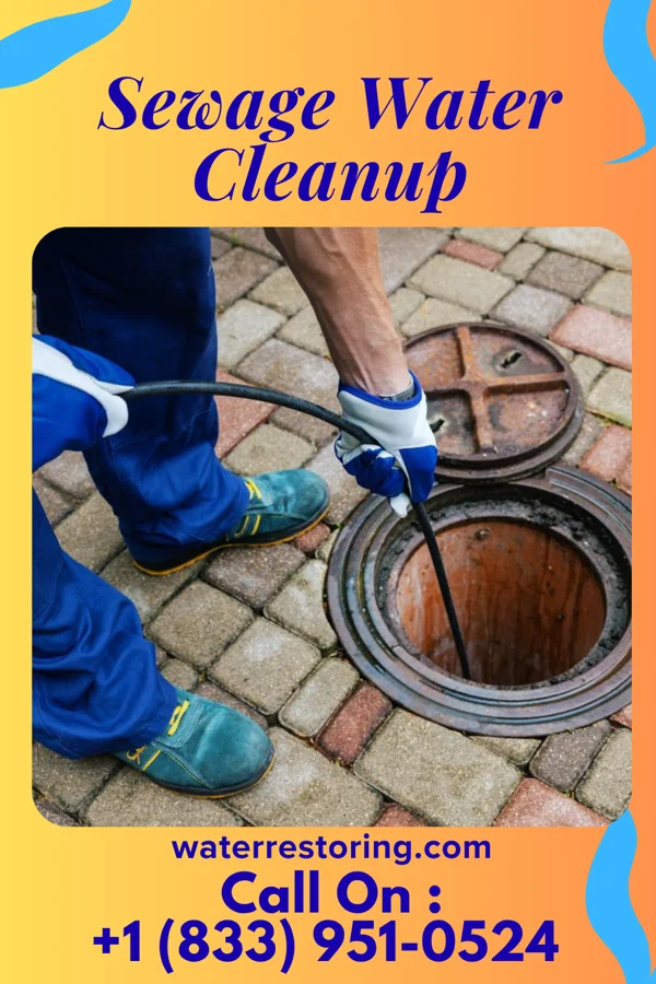 Sewage Water Cleanup in McKee, PA